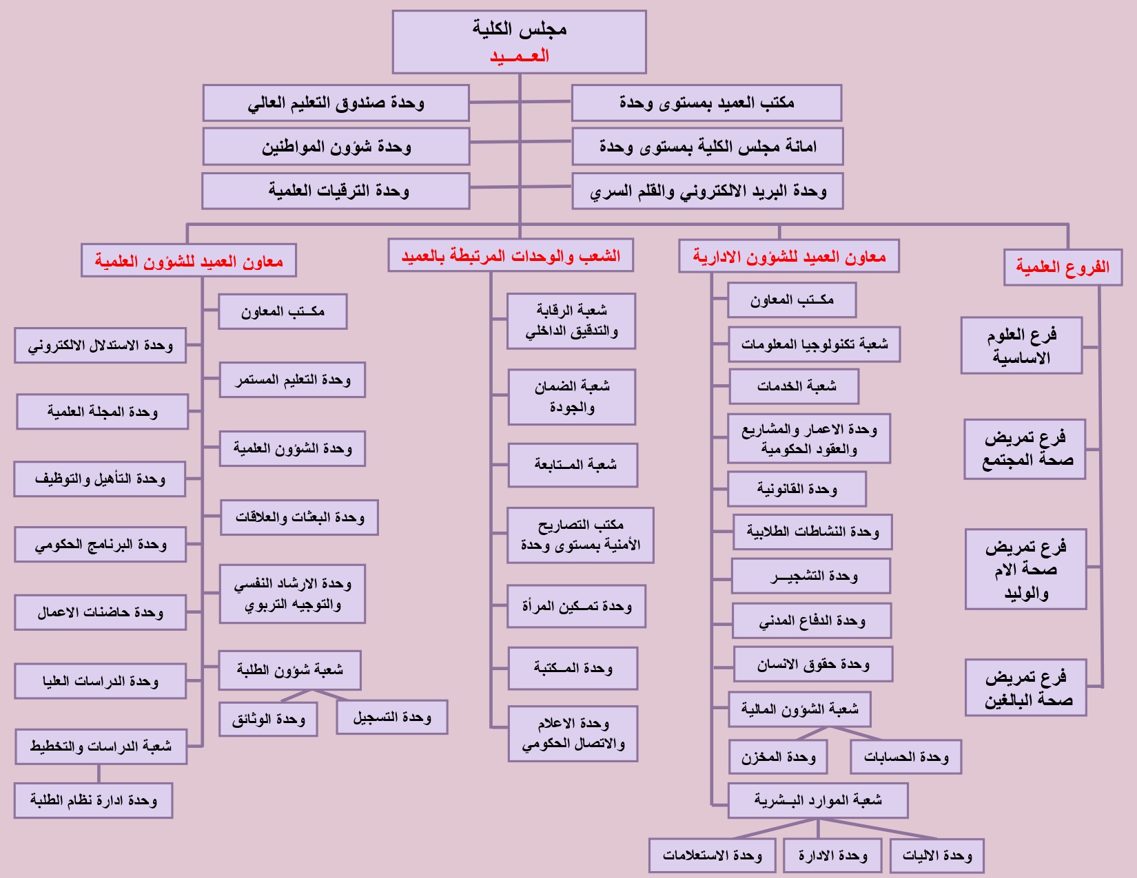 الهيكل الاداري للكلية